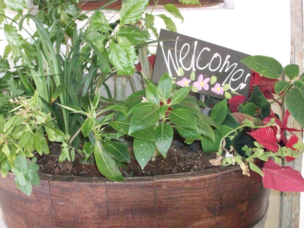 Bread And Barrel Guesthouse Bellville Cape Town Ngoại thất bức ảnh